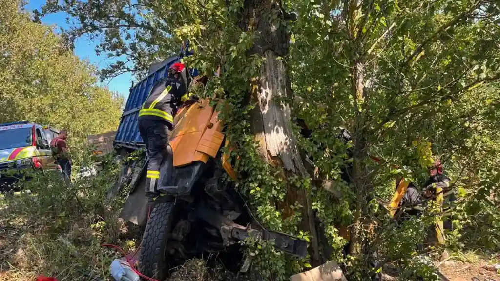 На Вінниччині вантажівка з’їхала в кювет і врізалася в дерево: водія вирізали з кабіни