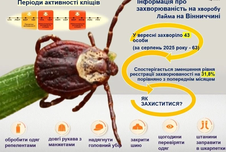 На Вінниччині зареєстрували майже пів сотні випадків бореліозу На Вінниччині зареєстрували майже пів сотні випадків бореліозу