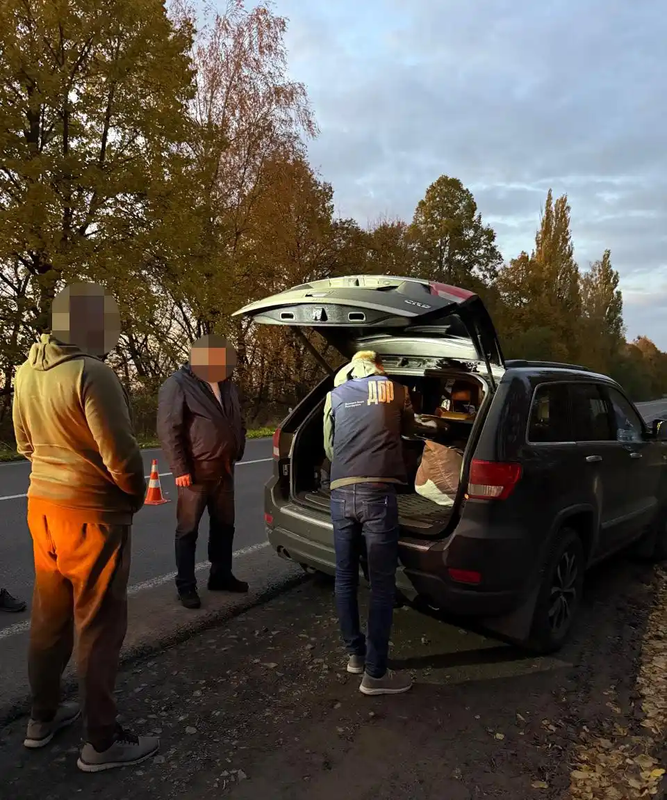 Масштабна схема незаконної вирубки дубів не оминула Вінницьку область