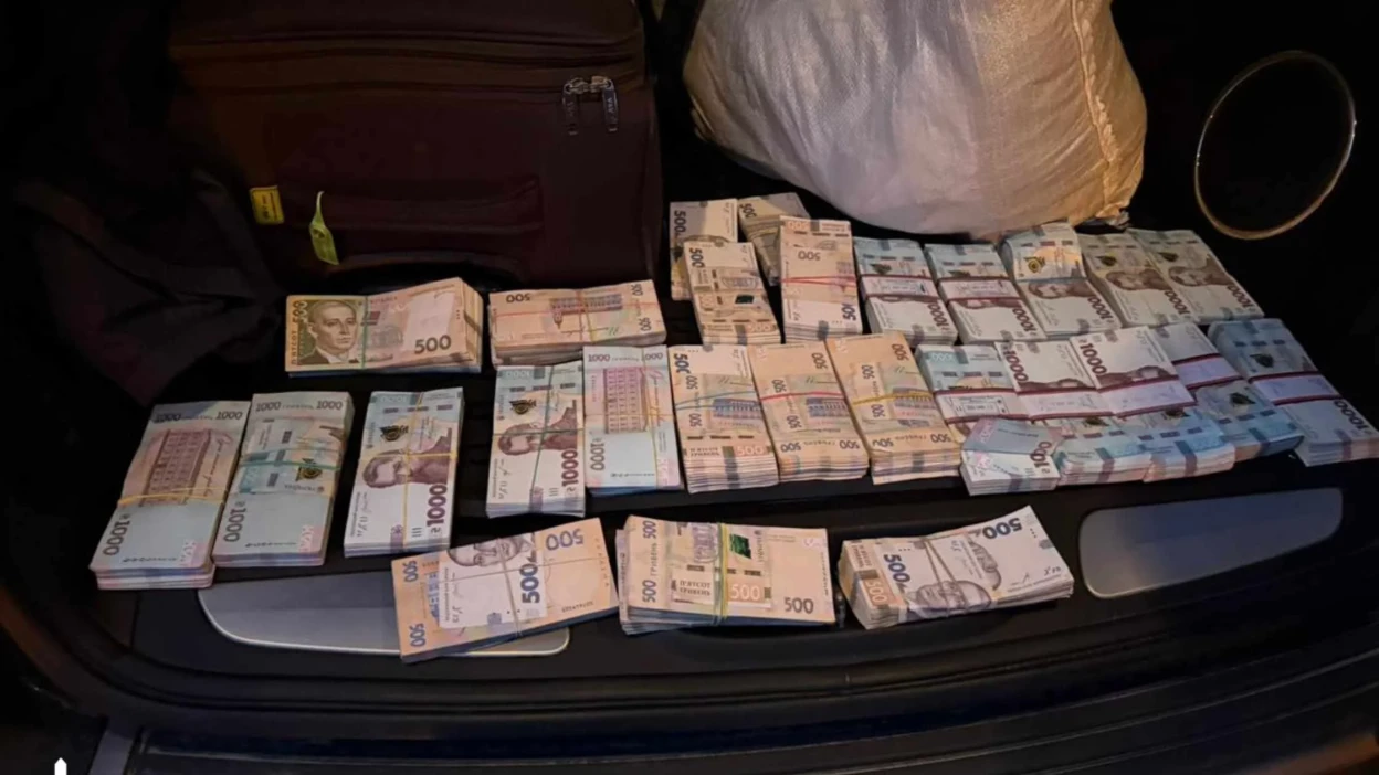 Масштабна схема незаконної вирубки дубів не оминула Вінницьку область Масштабна схема незаконної вирубки дубів не оминула Вінницьку область