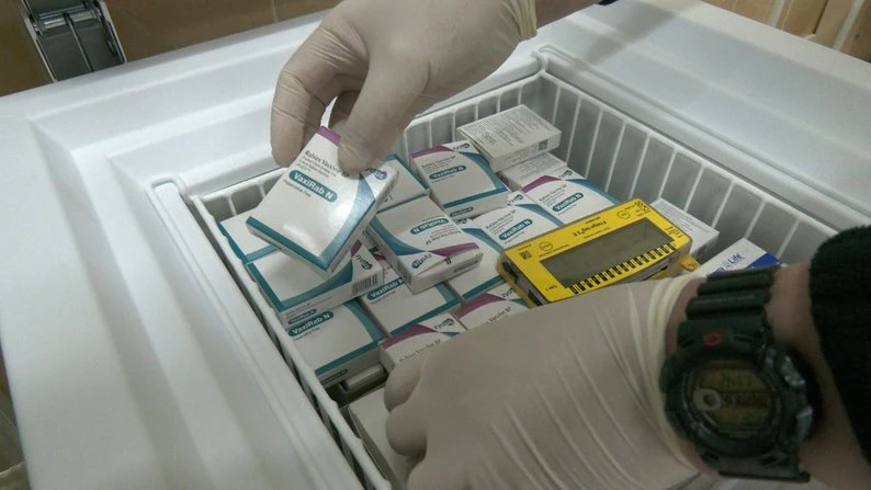 З початку року зафіксували понад 100 випадків серед тварин: яка ситуація зі сказом на Вінниччині З початку року зафіксували понад 100 випадків серед тварин: яка ситуація зі сказом на Вінниччині