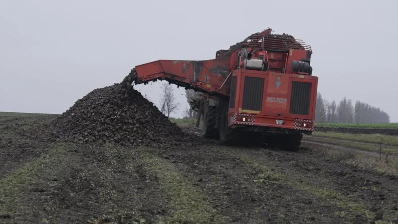 Врожайність — понад 600 центнерів із гектара: бурякові жнива на Вінниччині Врожайність — понад 600 центнерів із гектара: бурякові жнива на Вінниччині