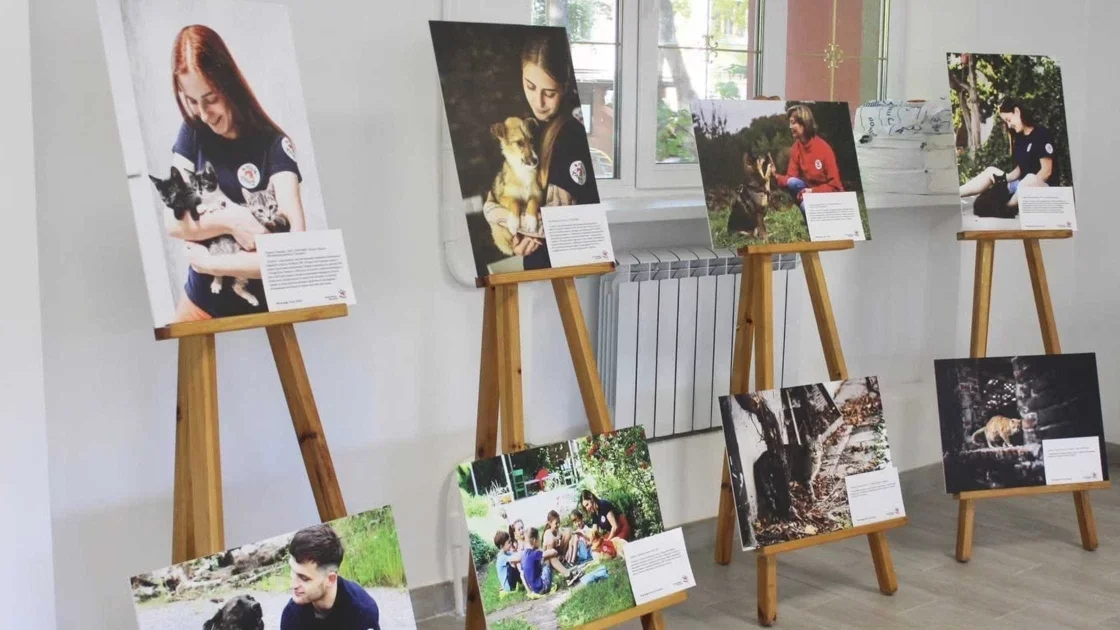 Фотовиставку про роботу зоозахисників під час війни презентують у Вінниці