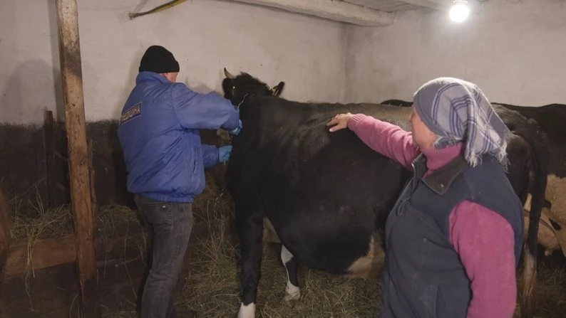 Через спалах сказу на Вінниччині активізували щеплення свійських і домашніх тварин Через спалах сказу на Вінниччині активізували щеплення свійських і домашніх тварин