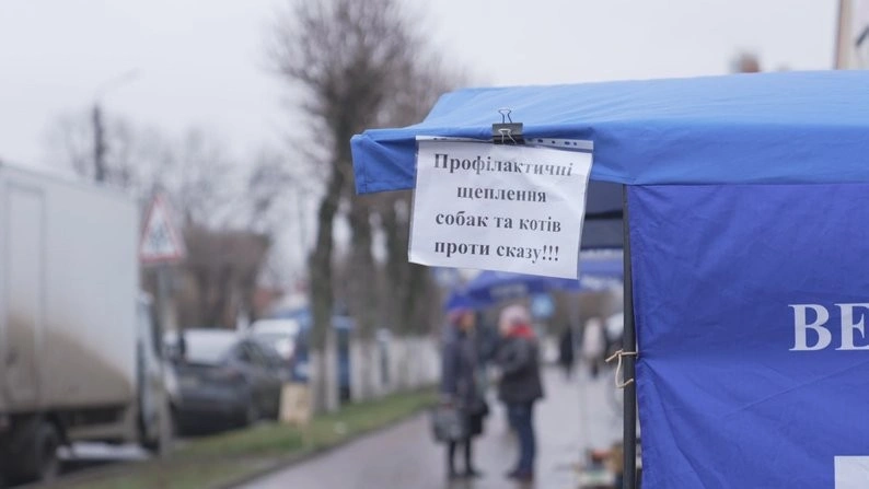 Через спалах сказу на Вінниччині активізували щеплення свійських і домашніх тварин Через спалах сказу на Вінниччині активізували щеплення свійських і домашніх тварин