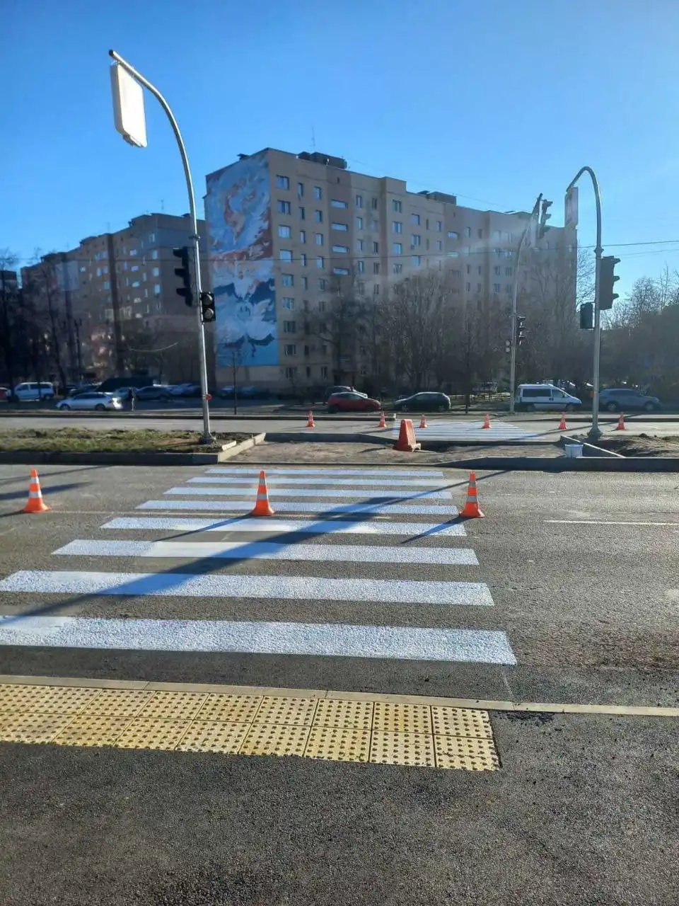 Світлофор замість ризику: на Барському шосе завершують облаштування безпечного переходу