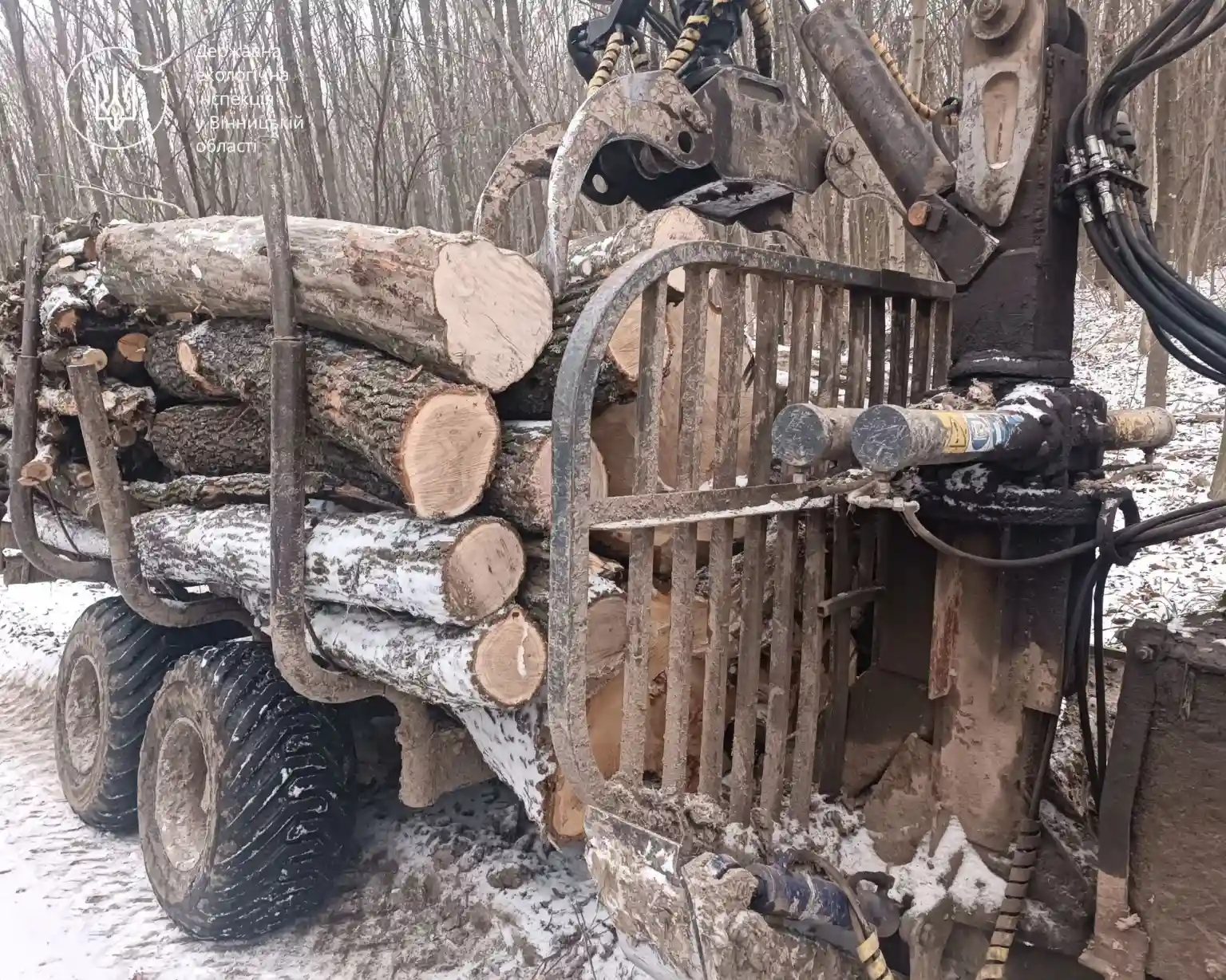 Без паперів і без дозволів: у лісах Вінниччини зупинили незаконне перевезення деревини