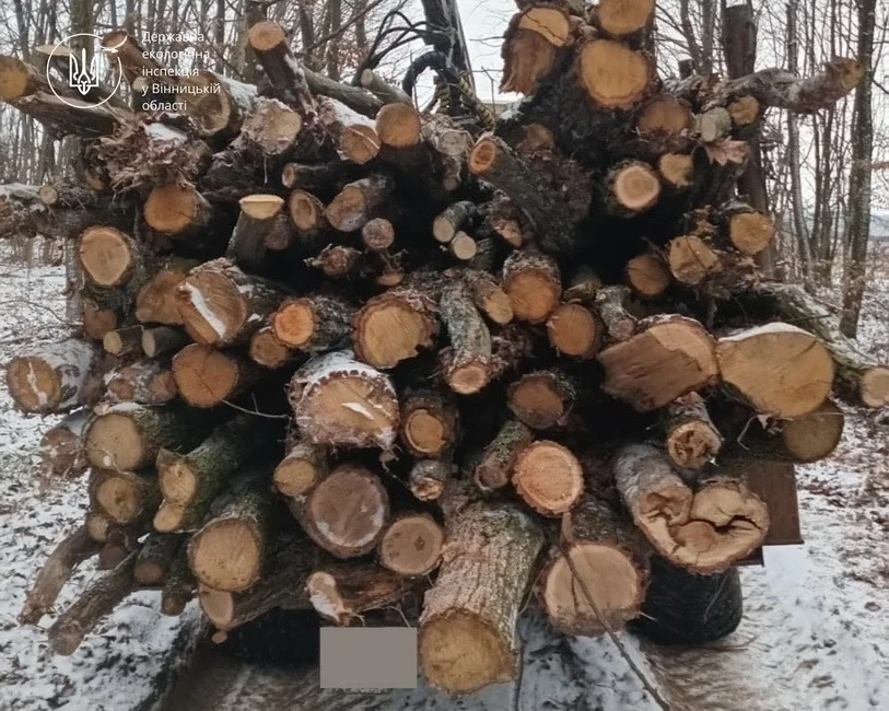 Без паперів і без дозволів: у лісах Вінниччини зупинили незаконне перевезення деревини