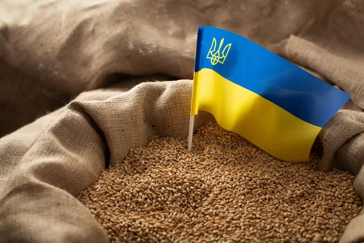 Аграрний експорт просів, але зберіг ключову роль у торгівлі України