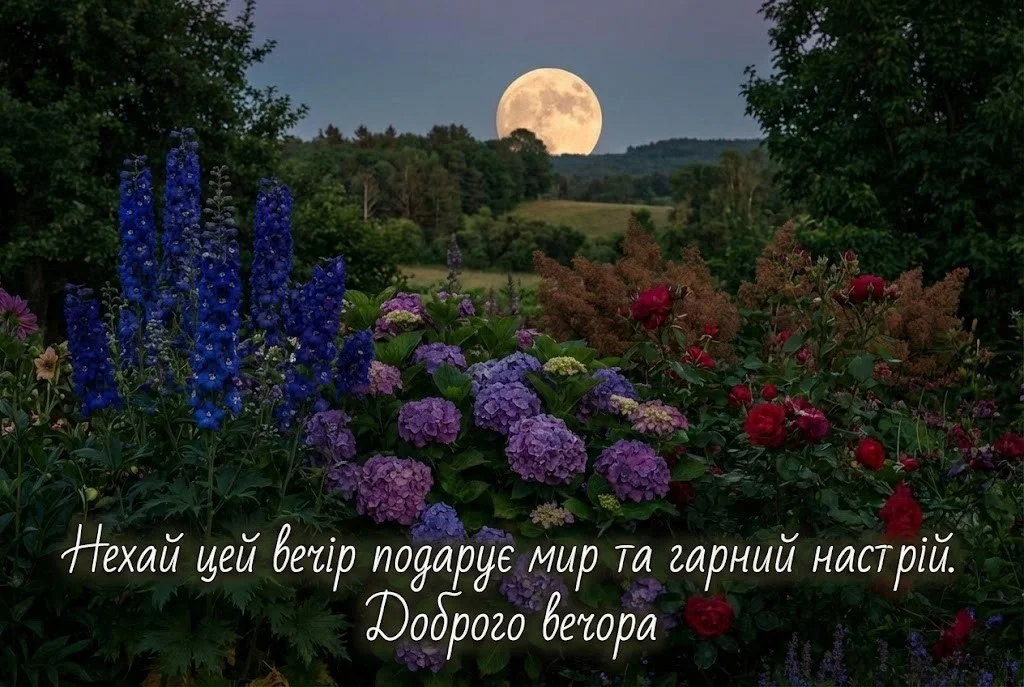 Вітання доброго вечора: душевні побажання та красиві картинки для затишного відпочинку!