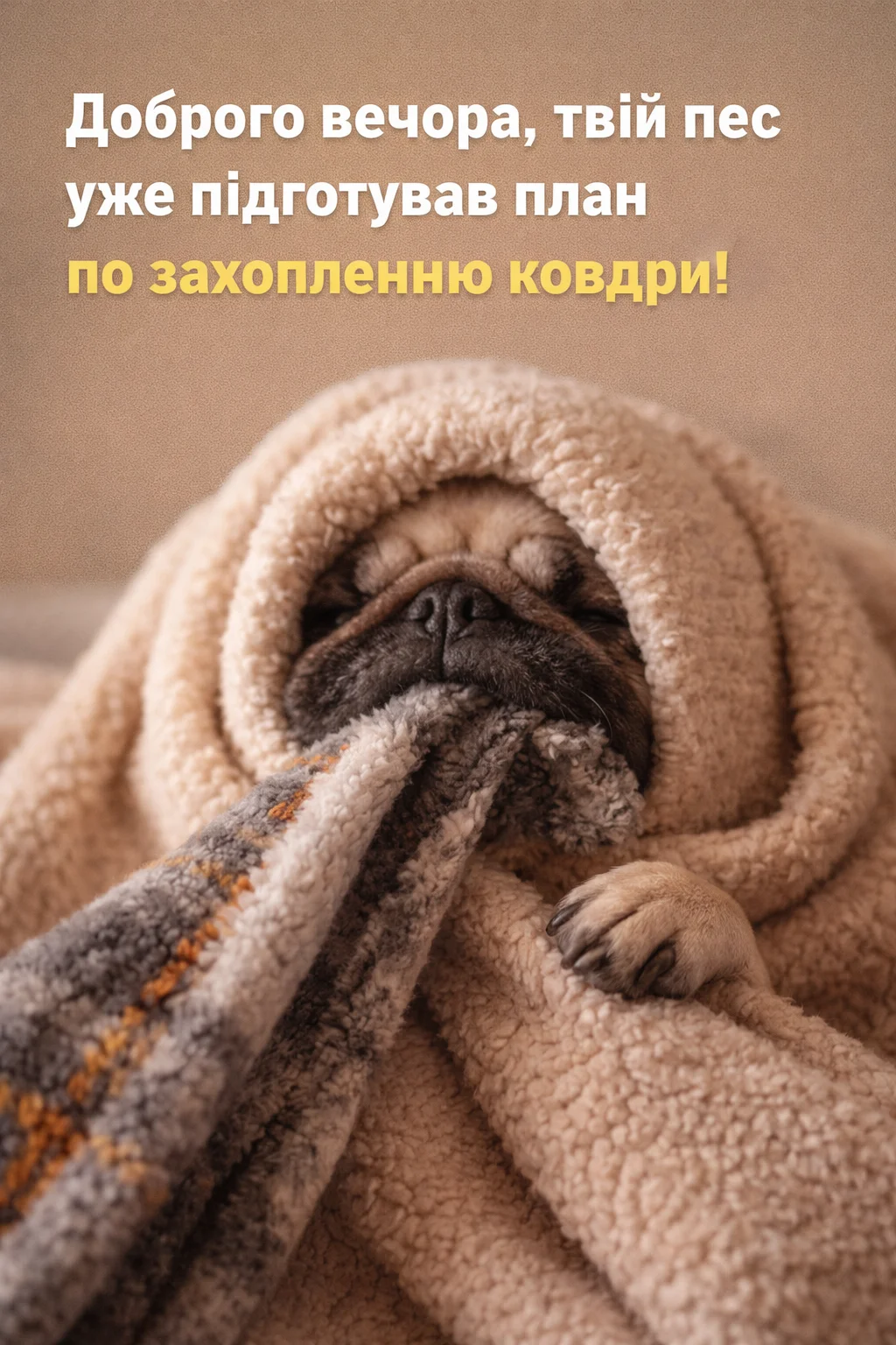 Доброго вечора і гарного настрою: душевні картинки та нові листівки для близьких