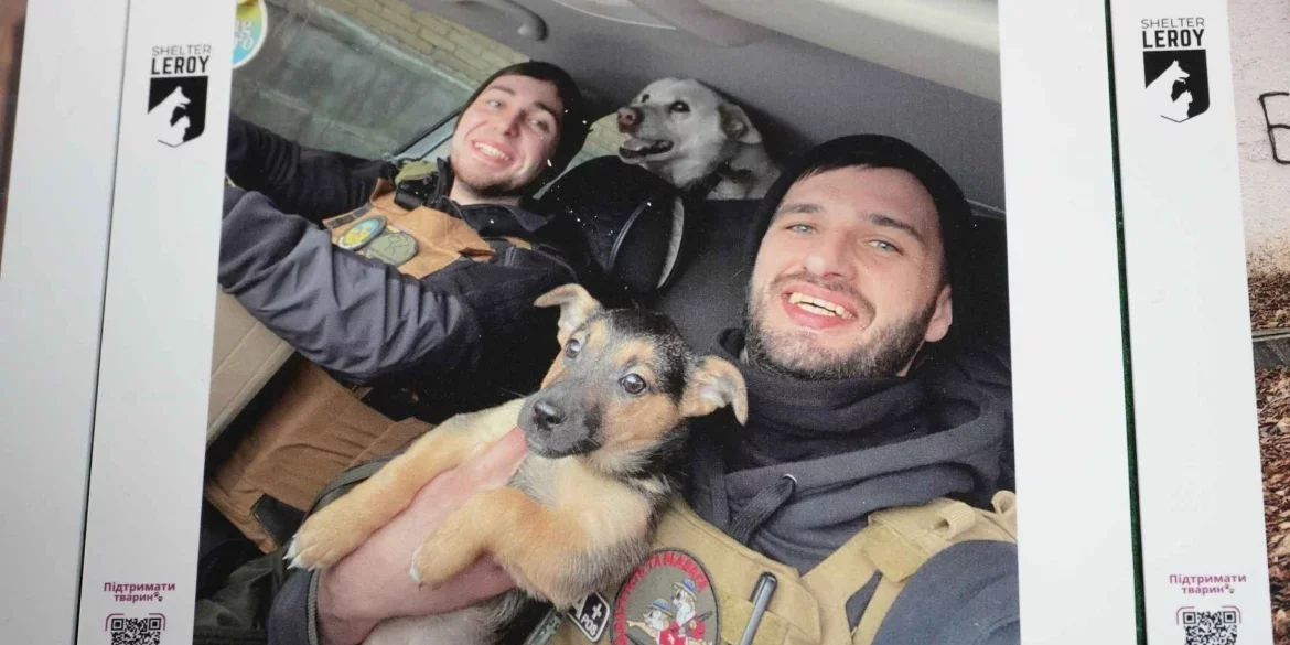 Хроніки милосердя під вогнем: у Вінниці презентували фотопроєкт про порятунок тварин