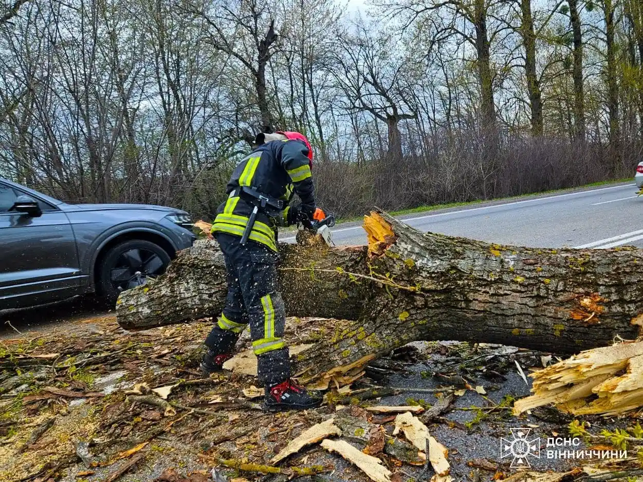 Вінниччина у полоні буревію: сотні рятувальників розчищають заблоковані траси