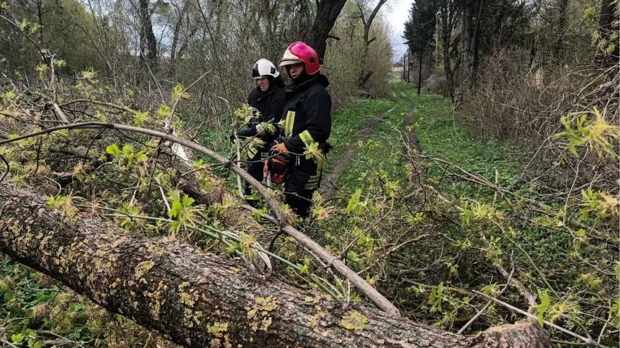 Вінниччина у полоні буревію: сотні рятувальників розчищають заблоковані траси
