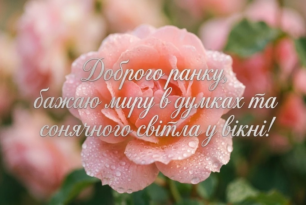 Доброго ранку, почни цей день красиво: душевні вітання та естетичні листівки для гарного настрою
