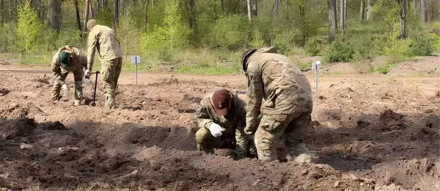 Понад два мільйони сіянців поповнили лісові масиви Вінниччини під час весняної кампанії