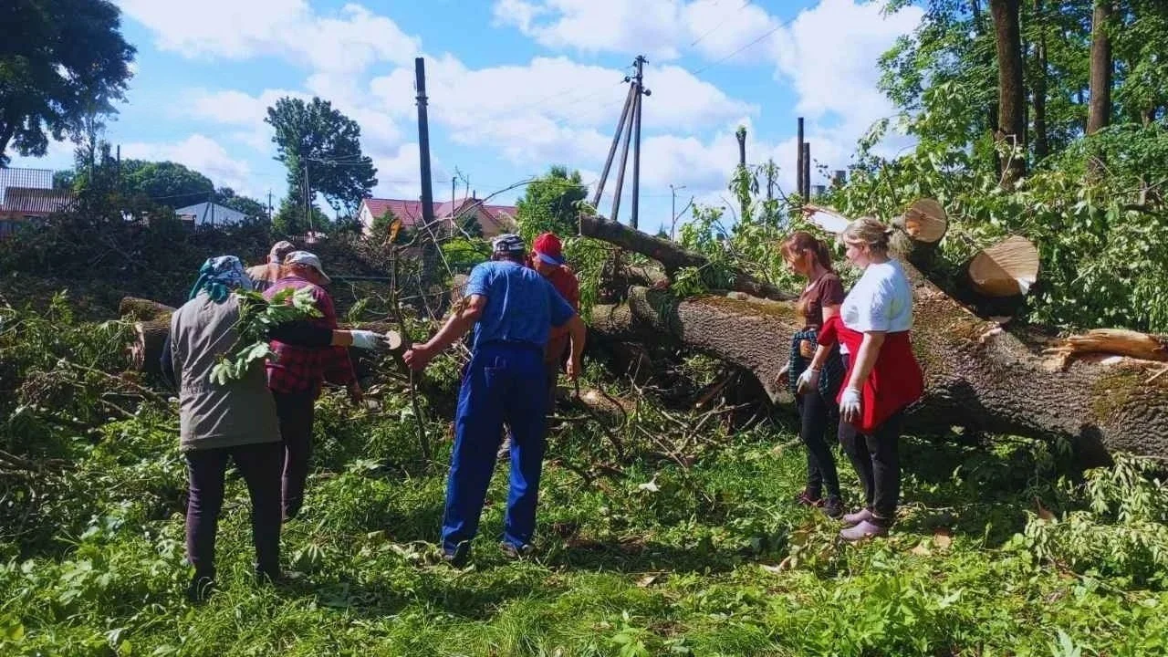 Місцеві заклади Черепашинців забезпечать паливом після розчищення аварійних насаджень