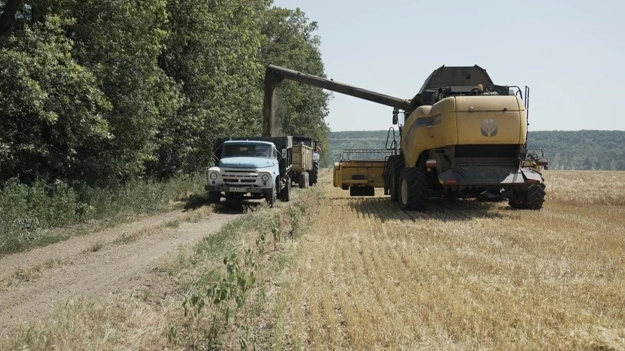 Вінницькі аграрії розпочали збір врожаю ранніх зернових культур